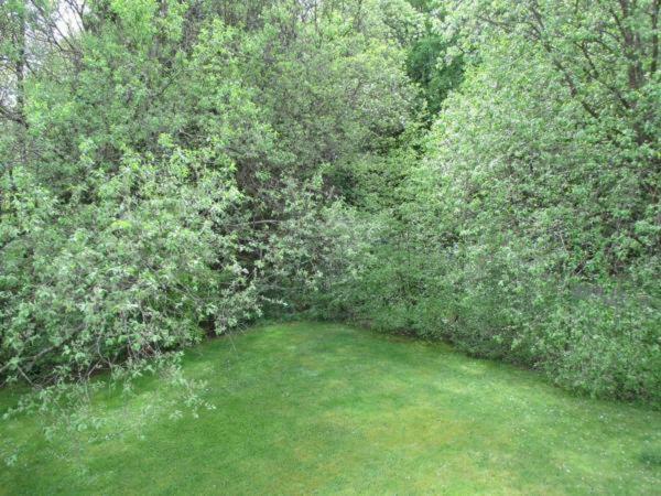 Ferienwohnung An Der Lay Wohnung 2 Bach  Экстерьер фото